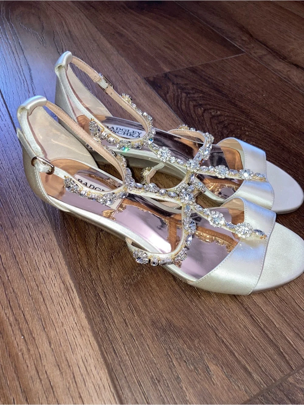 Badgley Mischka shoe has